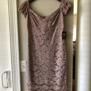 Express Lace Midi Sheath Dress - Size 6